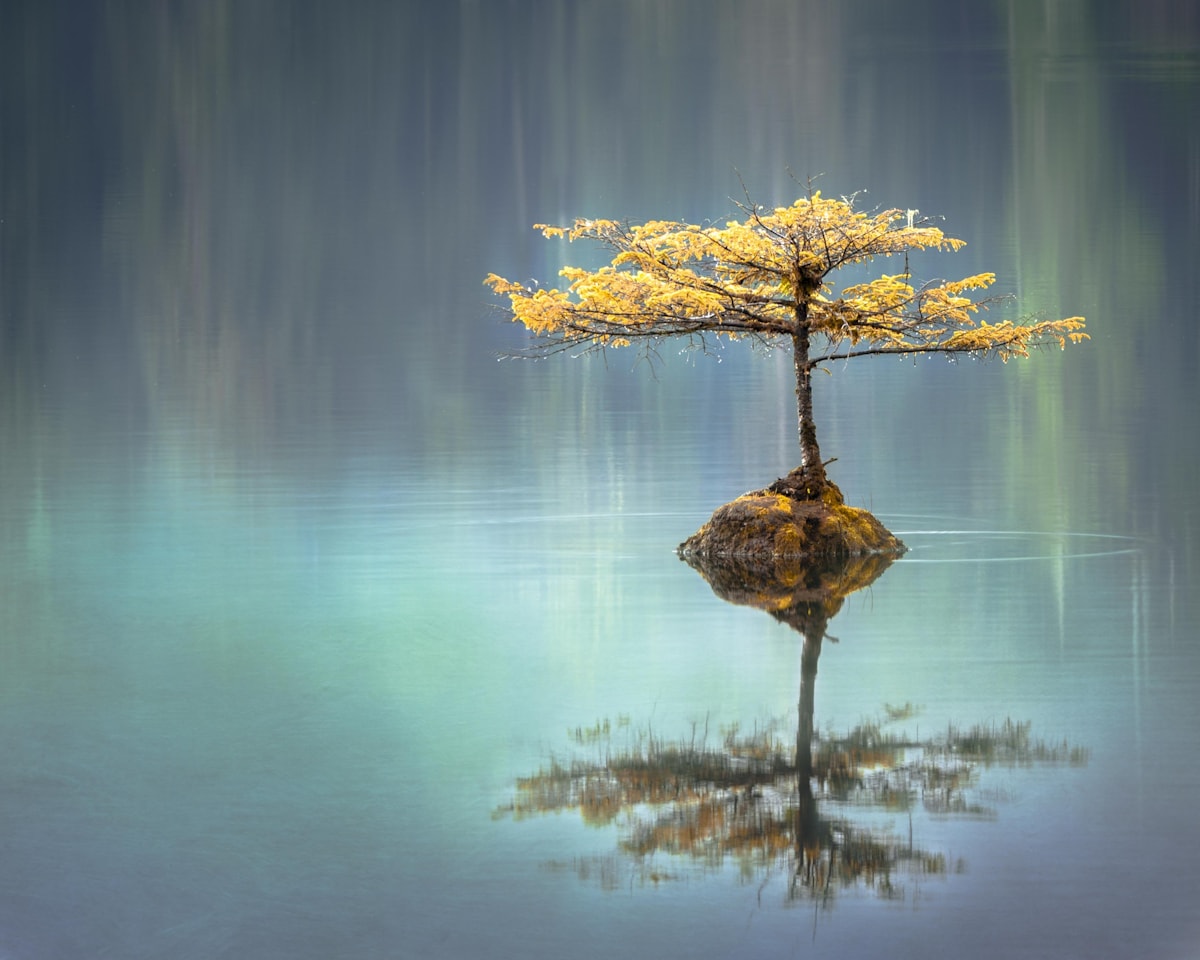 Hypnose Coaching